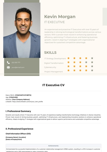 Free IT Executive CV Template to Edit Online