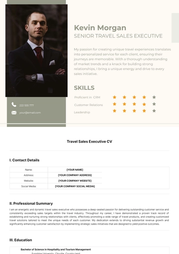 Free Travel Sales Executive CV Template to Edit Online