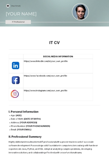 Free IT CV Template to Edit Online