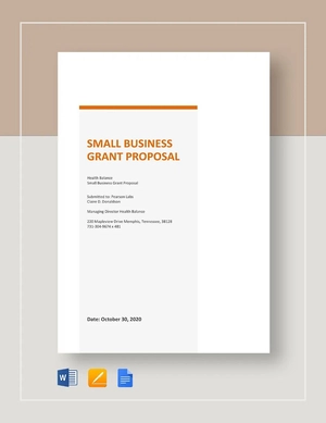 Sample Small Business Grant Proposal Template