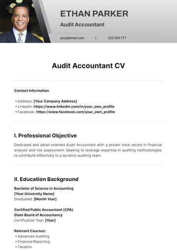 Free Audit Accountant CV Template to Edit Online