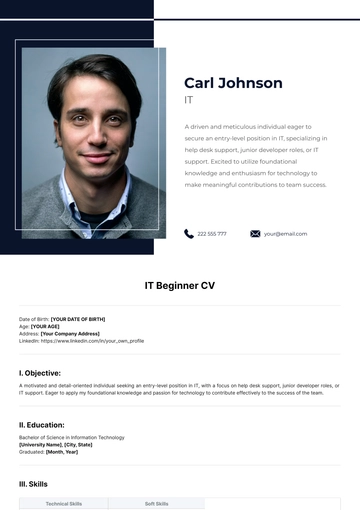 Free IT Beginner CV Template to Edit Online