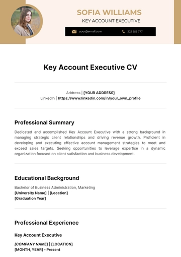 Free Key Account Executive CV Template to Edit Online