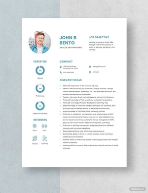 Oracle DBA Manager Resume