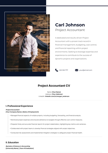 Free Project Accountant CV Template to Edit Online