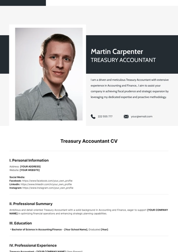Free Treasury Accountant CV Template to Edit Online