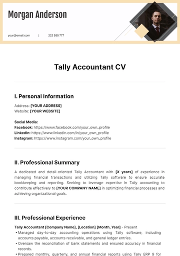 Free Tally Accountant CV Template to Edit Online