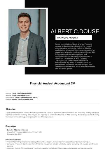 Free Financial Analyst Accountant CV Template to Edit Online