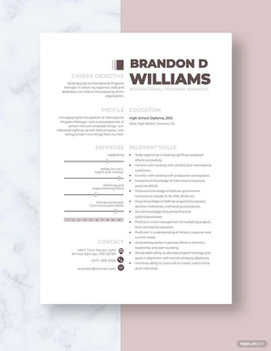 International Program Manager Resume
