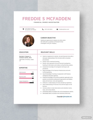 Financial Crimes Investigator Resume