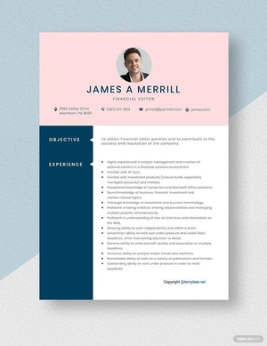 Financial Editor Resume