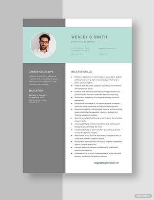 Financial Examiner Resume
