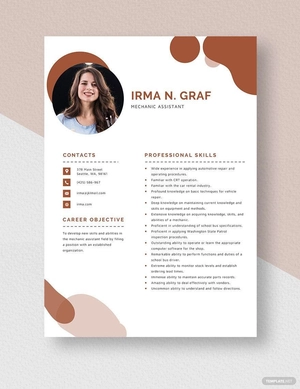 Mechanic Assistant Resume