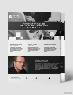 Business Solutions Consultant Flyer Template