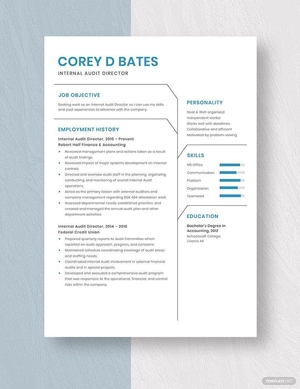 Internal Audit Director Resume