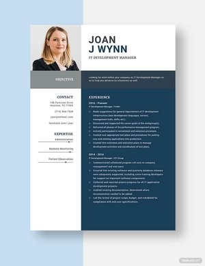 IT Development Manager Resume