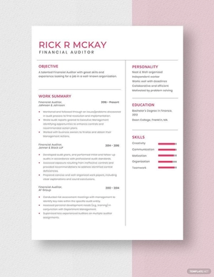 Financial Auditor Resume