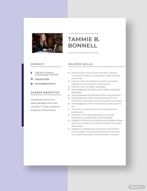 Fire Safety Manager Resume