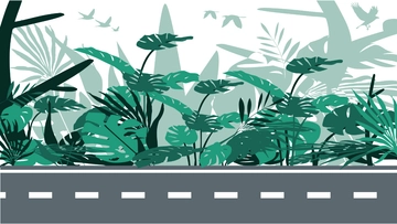 Free Forest highway Road Background to Edit Online