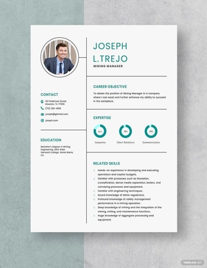 Mining Manager Resume