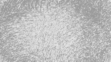 Free Wall Background to Edit Online