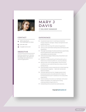 IT Delivery Manager Resume