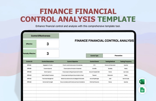 Finance Financial Control Analysis Template