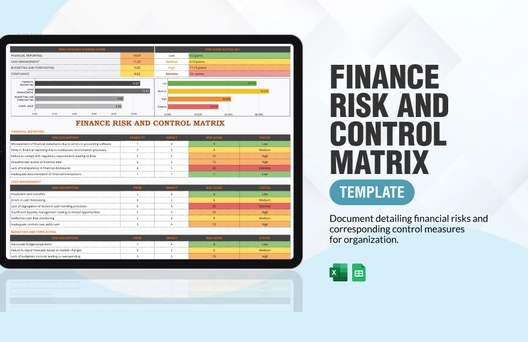 Finance Risk and Control Matrix Template