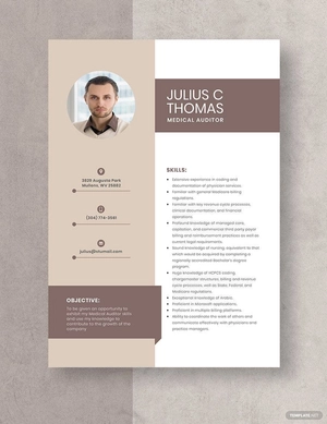Medical Auditor Resume