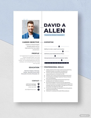 Financial Project Manager Resume
