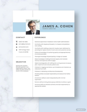 Hospice Director Resume