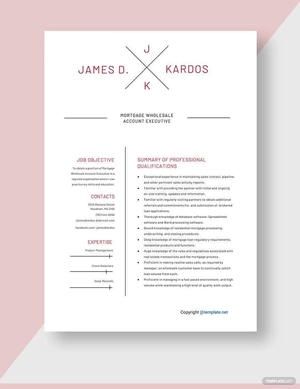 Mortgage Wholesale Account Executive Resume