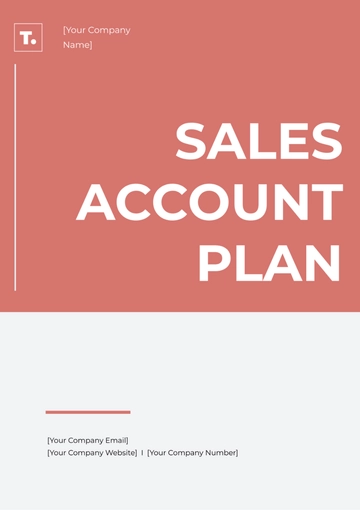 Free Sales Account Plan Template to Edit Online