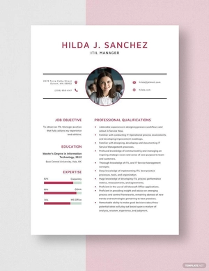 ITIL Manager Resume