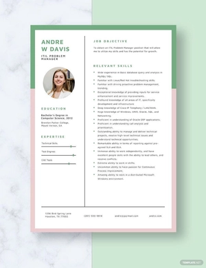 ITIL Problem Manager Resume