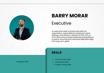 Free CV Executive Half Cover Page Template to Edit Online