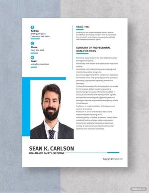 Health And Safety Executive Resume
