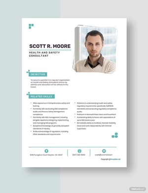 Health And Safety Consultant Resume