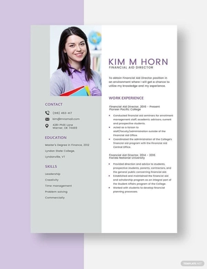Financial Aid Director Resume