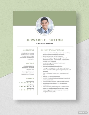 IT Assistant Manager Resume