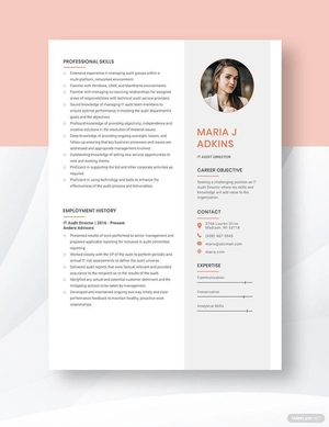 IT Audit Director Resume