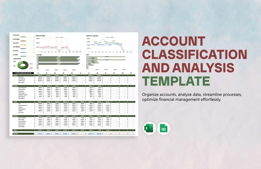 Account Classification and Analysis Template