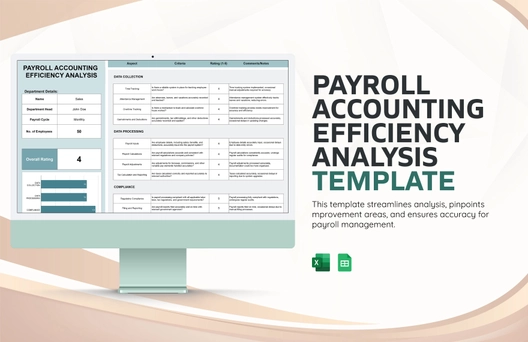 Payroll Accounting Efficiency Analysis Template