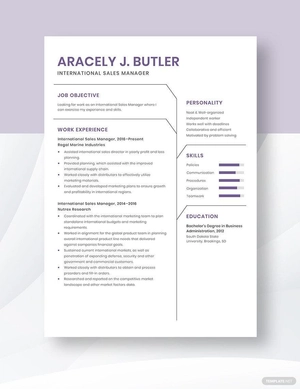 International Sales Manager Resume