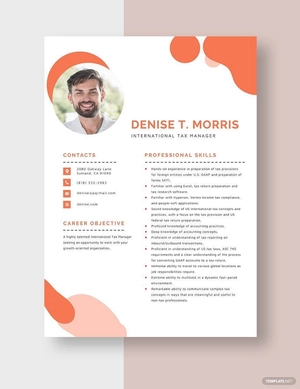 International Tax Manager Resume