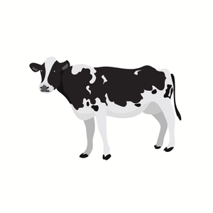 Free Cow Animal to Edit Online