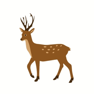 Free Deer Animal Clipart to Edit Online