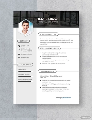 Home Delivery Driver Resume