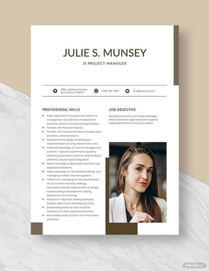 IS Project Manager Resume
