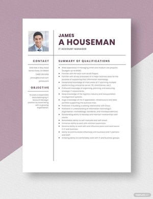 IT Account Manager Resume